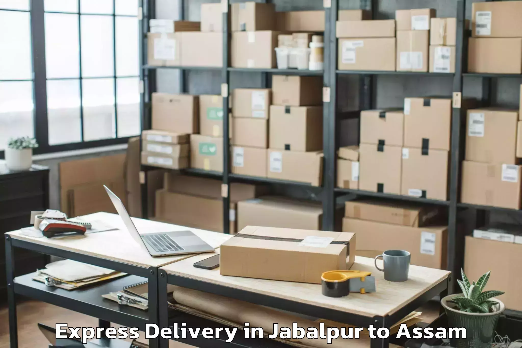 Professional Jabalpur to Hajo Express Delivery